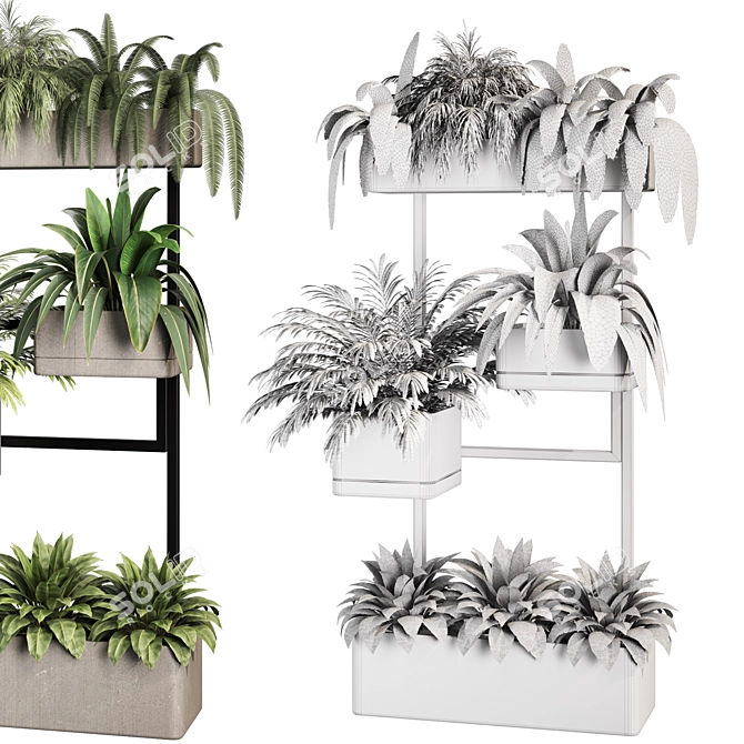 Premium Indoor Plants Set Renders 3D model image 4