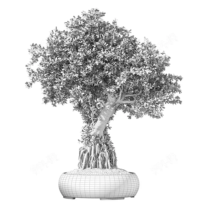 Zen Bonsai Indoor Plant Set 3D model image 4