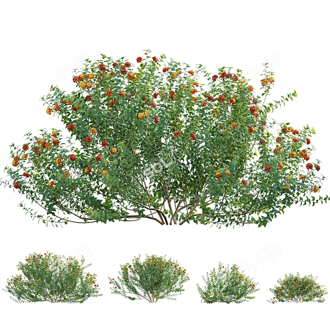 Versatile 3D Plant Pack 3D model image 2