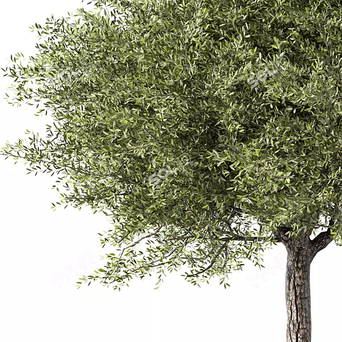 Stylish Tree Sculpture Design 3D model image 2