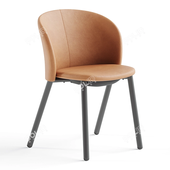 Zanotta Daisy Modern Chair 3D 3D model image 2