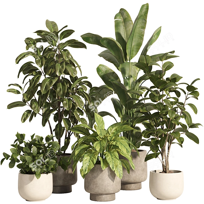 Modern Indoor Plant Set 81 3D model image 1