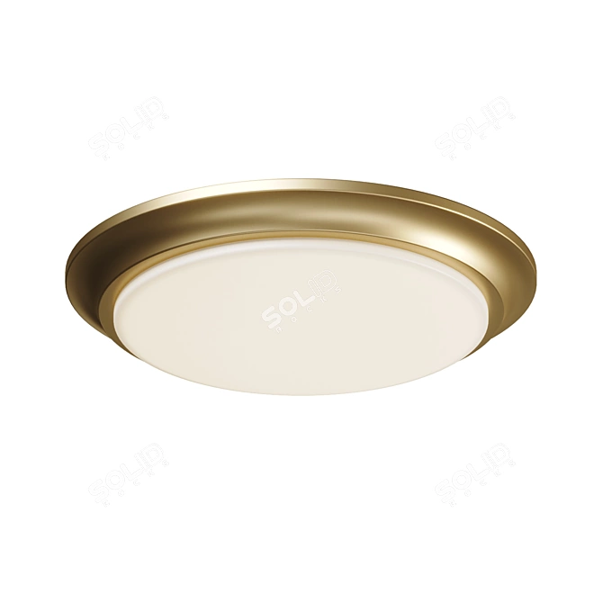 Slim LED Ceiling Mount - Baron 3D model image 3