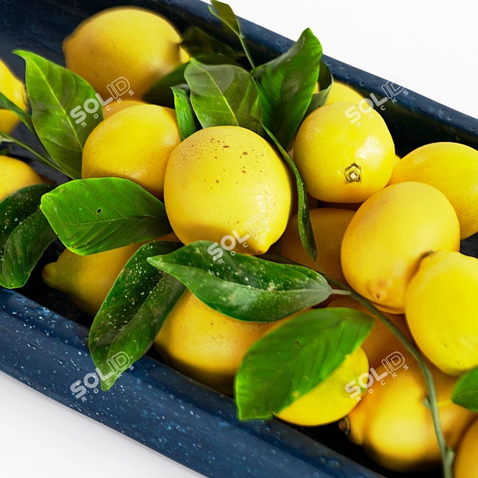 Title: Lemon Tray for Corona Render 3D model image 3