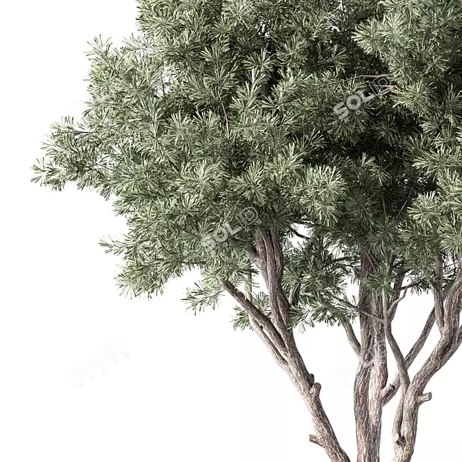 Whispering Pine Tree Sculpture 3D model image 2