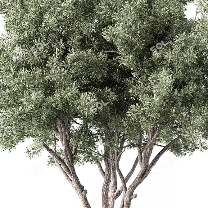 Whispering Pine Tree Sculpture 3D model image 3