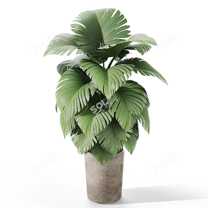 Variety of Lush Greenery 3D model image 1