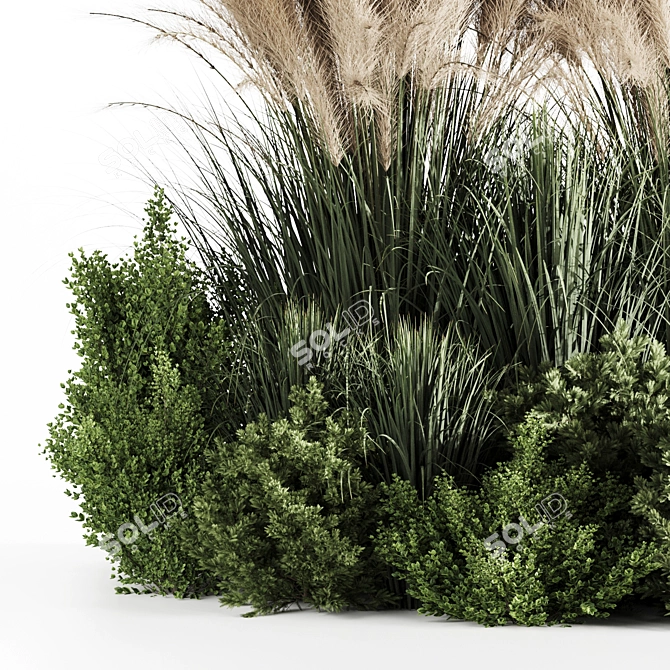 High-Quality Bush Set for Rendering 3D model image 5