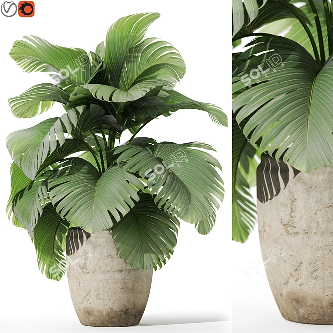 Botanical Assortment 1122 3D model image 1