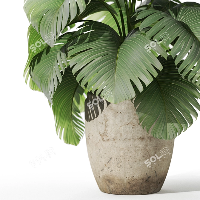 Botanical Assortment 1122 3D model image 2