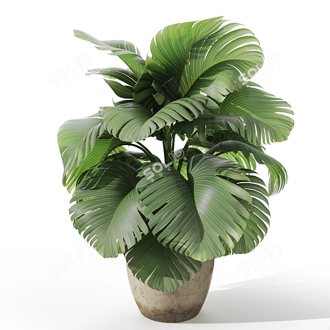 Botanical Assortment 1122 3D model image 3