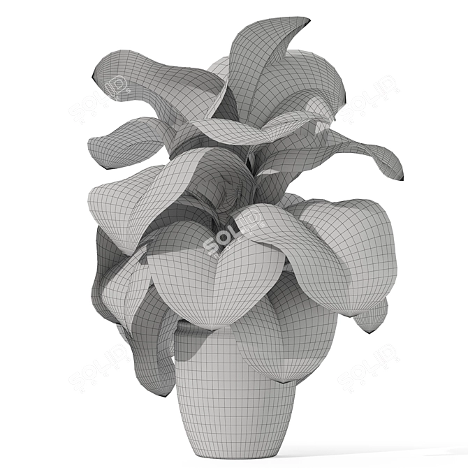Botanical Assortment 1122 3D model image 4
