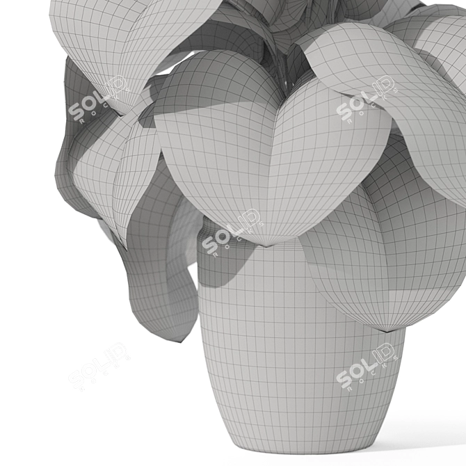 Botanical Assortment 1122 3D model image 5