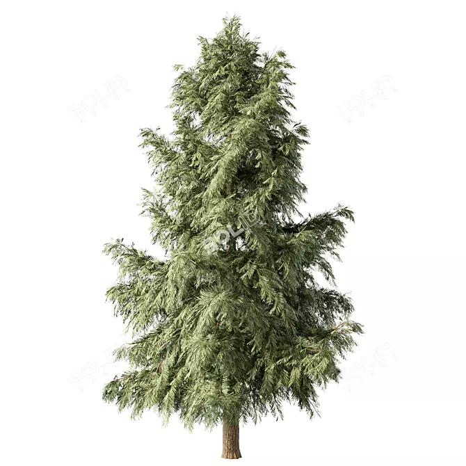 Pine Tree No.128 Sculpture: Minimalist Beauty 3D model image 1