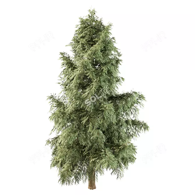 Pine Tree No.128 Sculpture: Minimalist Beauty 3D model image 2