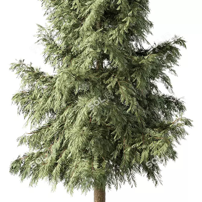 Pine Tree No.128 Sculpture: Minimalist Beauty 3D model image 3