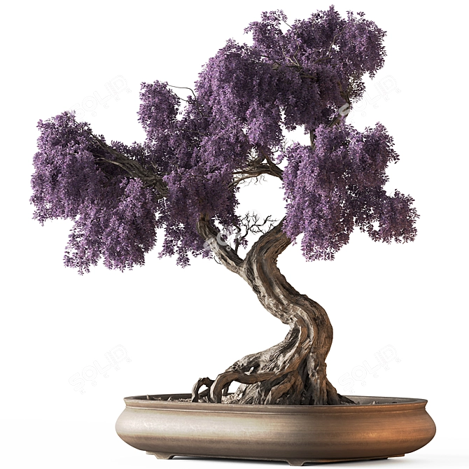 Bonsai Set: Indoor Plant 780 3D model image 1