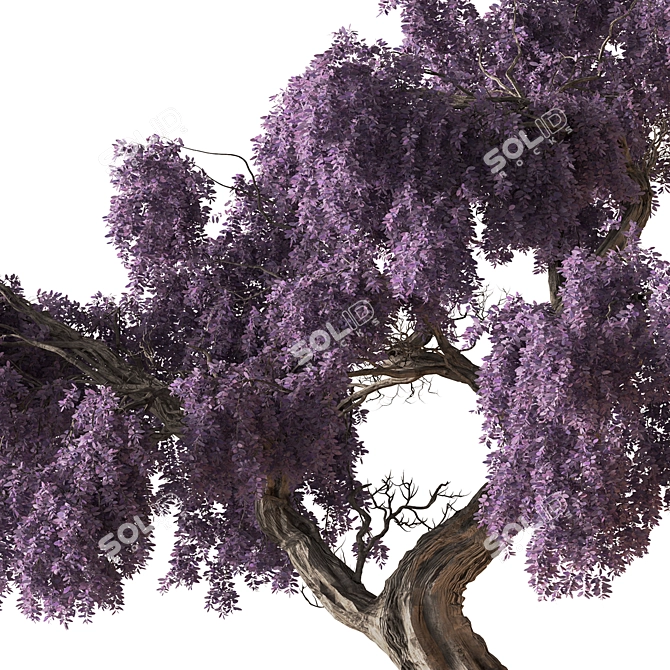 Bonsai Set: Indoor Plant 780 3D model image 2