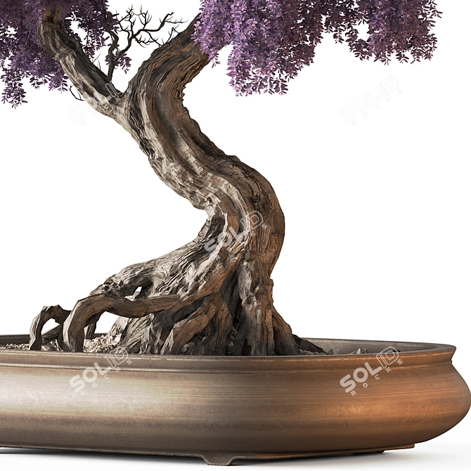 Bonsai Set: Indoor Plant 780 3D model image 3