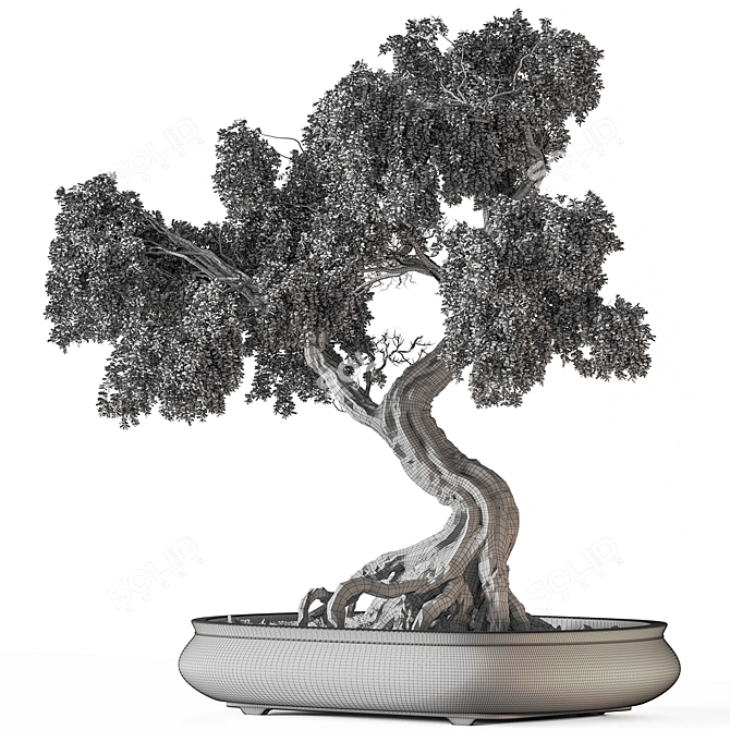 Bonsai Set: Indoor Plant 780 3D model image 4