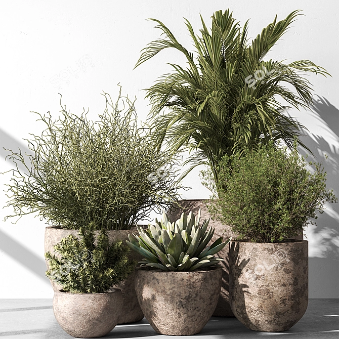 Botanical Beauty: Tree in Pot 3D model image 1