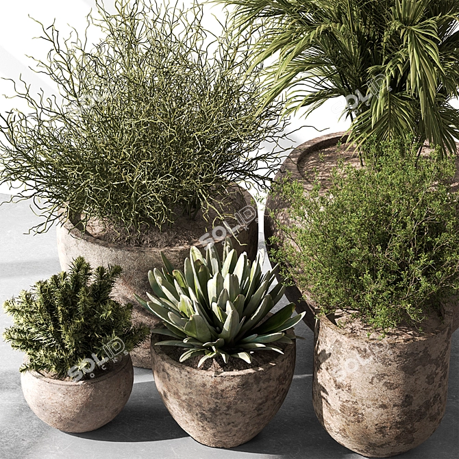 Botanical Beauty: Tree in Pot 3D model image 2