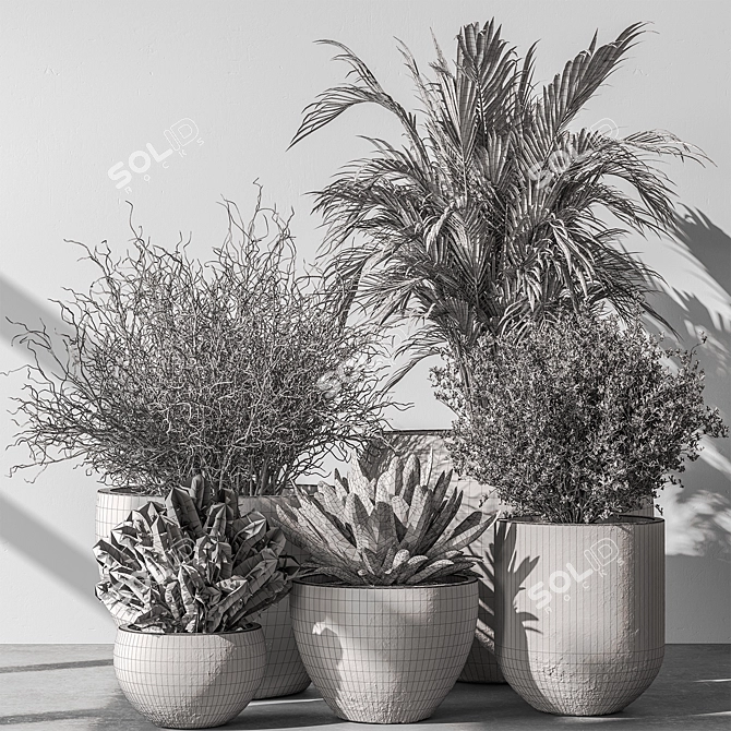 Botanical Beauty: Tree in Pot 3D model image 5