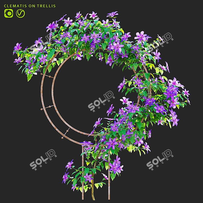 Clematis Plant Support Set 3D model image 1