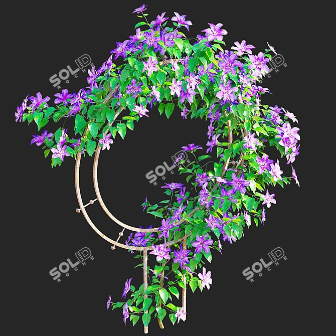Clematis Plant Support Set 3D model image 2