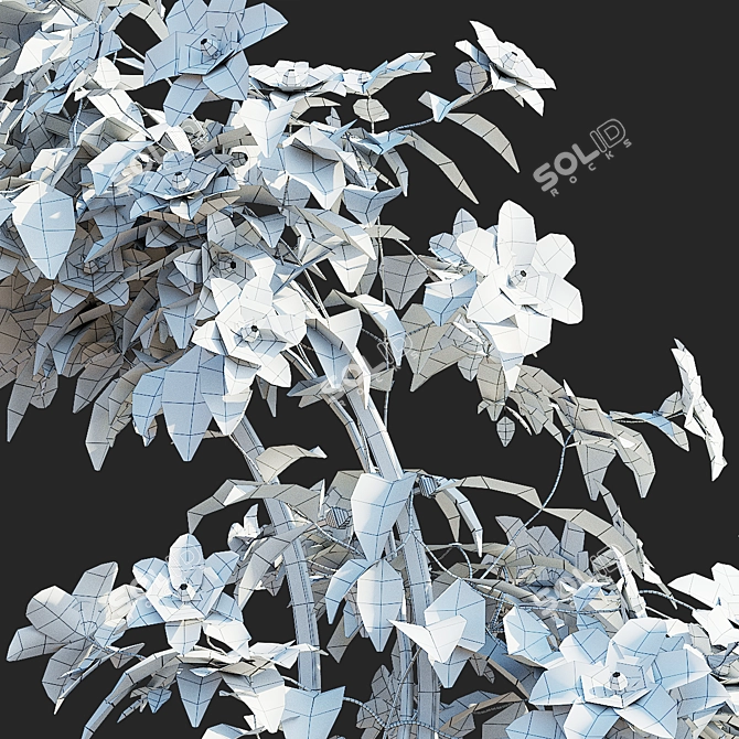 Clematis Plant Support Set 3D model image 5