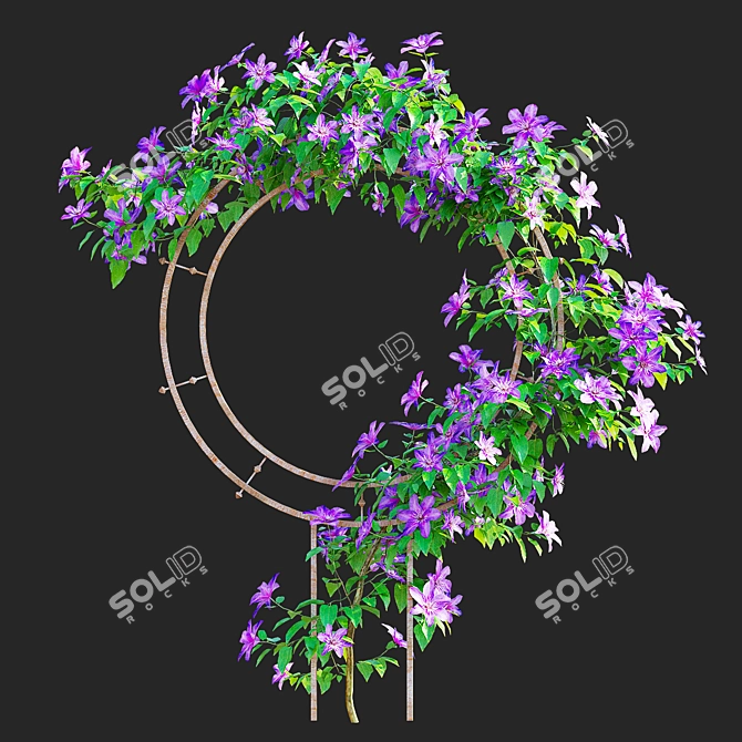 Clematis Plant Support Set 3D model image 7