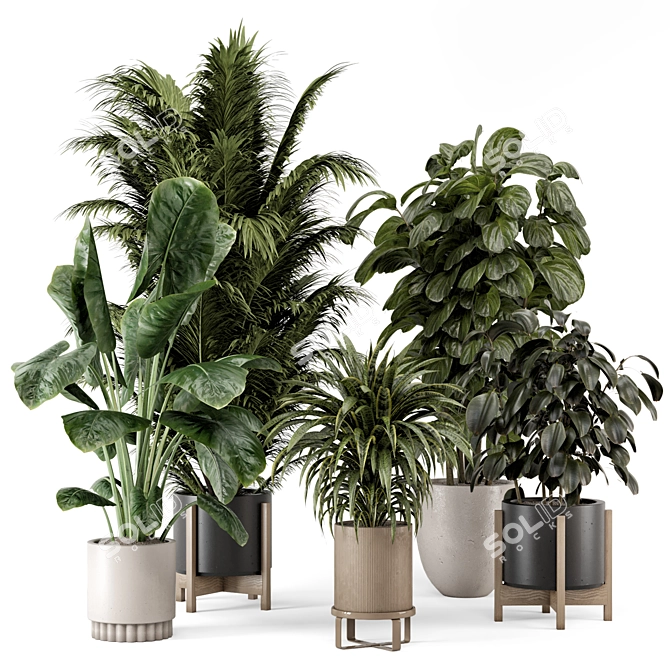 Modern Indoor Plants Ferm Living 3D model image 1