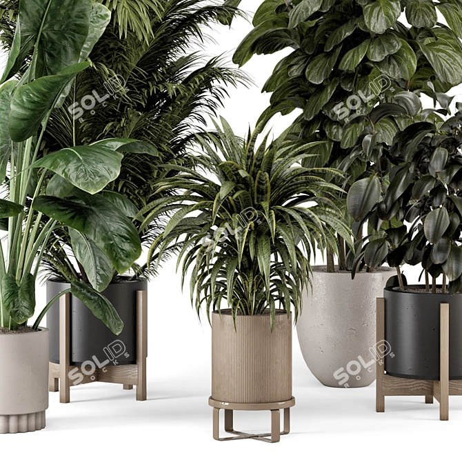 Modern Indoor Plants Ferm Living 3D model image 2