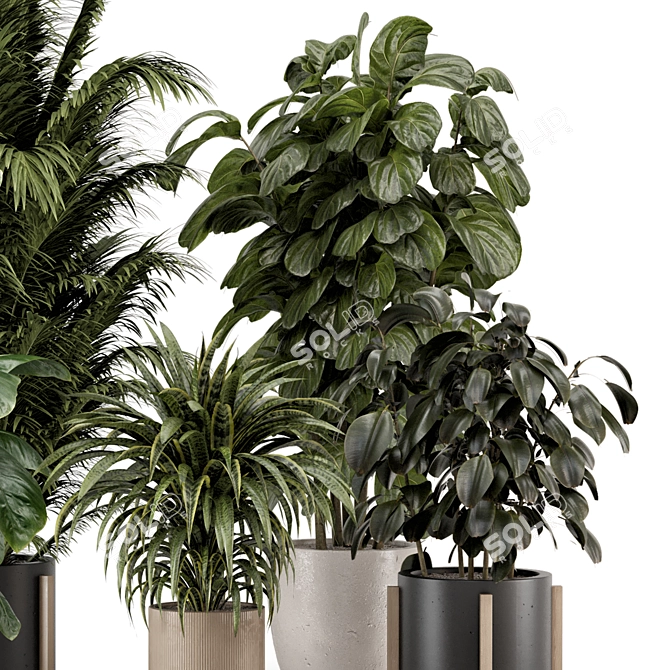 Modern Indoor Plants Ferm Living 3D model image 3