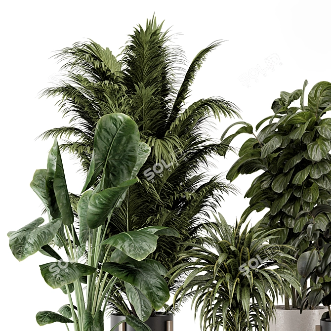 Modern Indoor Plants Ferm Living 3D model image 4