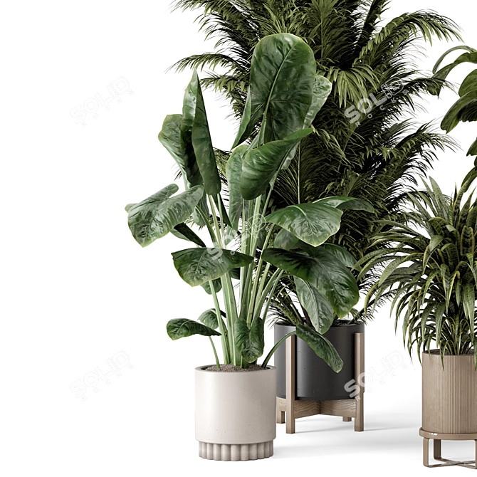 Modern Indoor Plants Ferm Living 3D model image 5