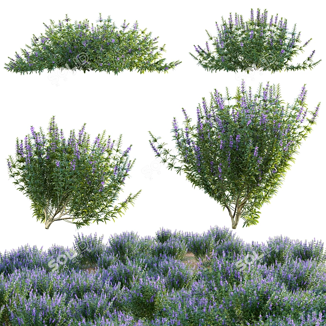 Versatile 3D Plant Models Collection 3D model image 1