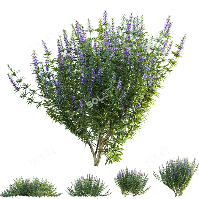 Versatile 3D Plant Models Collection 3D model image 2