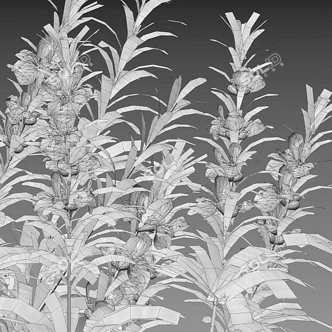 Versatile 3D Plant Models Collection 3D model image 5