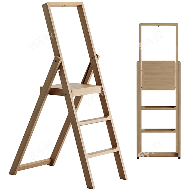 Versatile Step Ladder in Three Color Options 3D model image 1