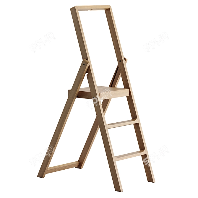 Versatile Step Ladder in Three Color Options 3D model image 2