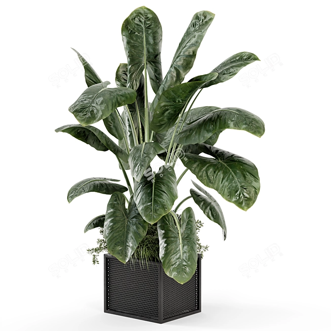 Indoor Plants Set with Metal Pots 3D model image 1