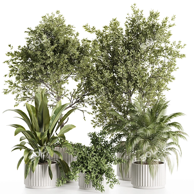 3D Indoor Plants Set 123 3D model image 1