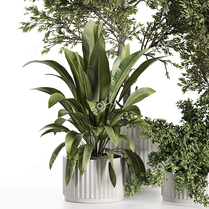 3D Indoor Plants Set 123 3D model image 3