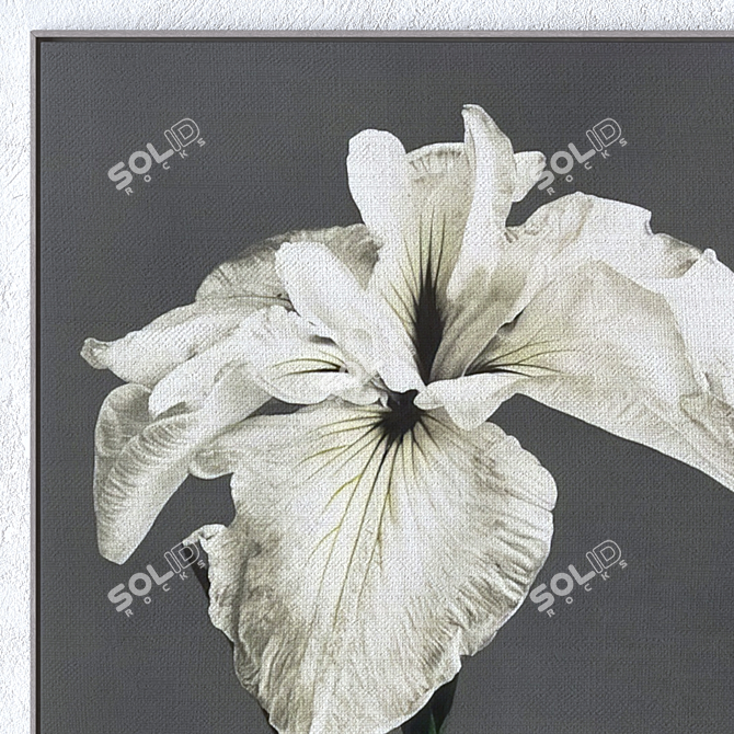 Wall Art Frames with Textures 3D model image 2