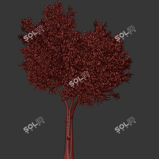 Modern Olive Tree Set24 Miniature 3D model image 4