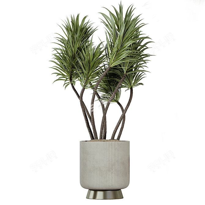 Diverse 3D Indoor Plant Set 3D model image 6