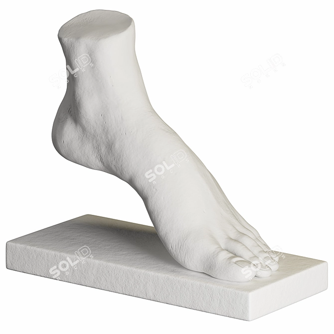 Contemporary Foot Sculpture Art Piece 3D model image 1