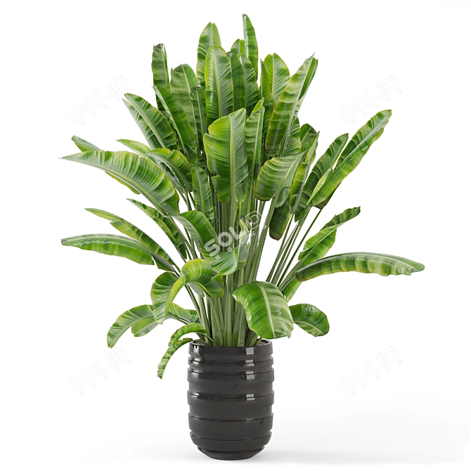 Modern Indoor Plants Set 2418 3D model image 1