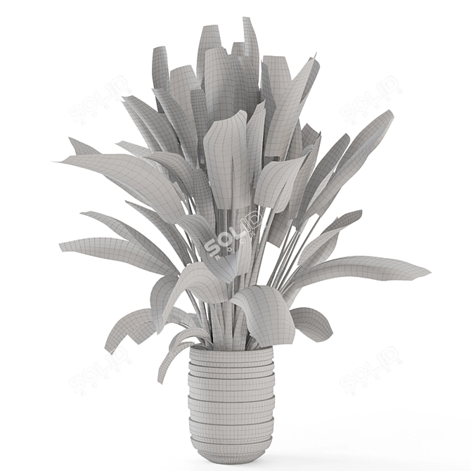 Modern Indoor Plants Set 2418 3D model image 3